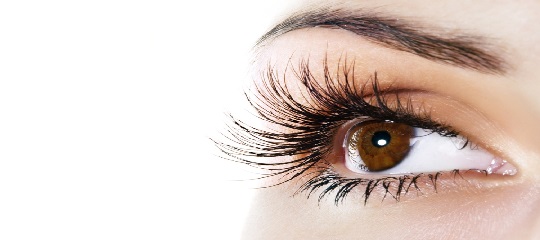 Which lash shield size should I use for Lash Lift treatments?