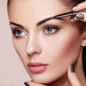 Online Highly Defined Brow Course